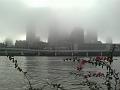 Brisbane in the fog from Southbank DSC02378